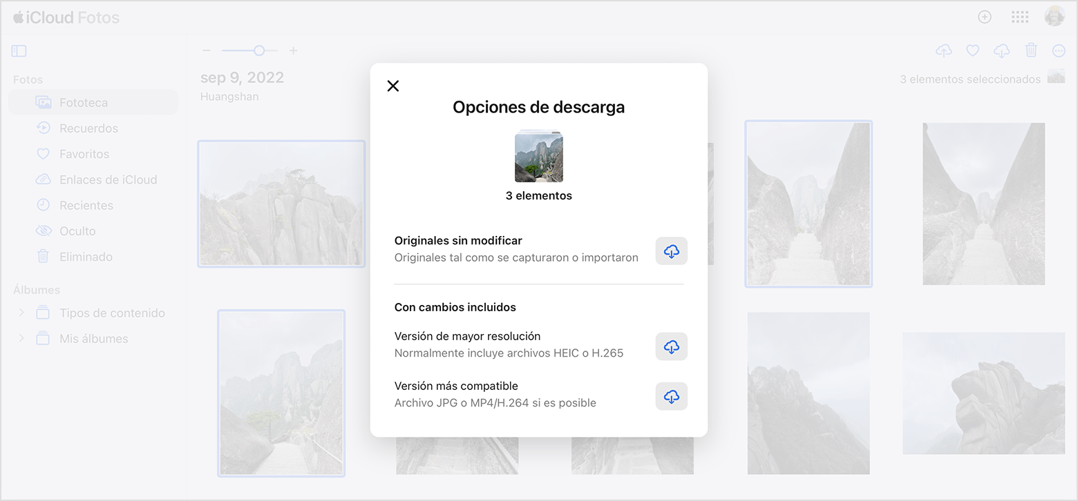 Ventana de opciones de descarga