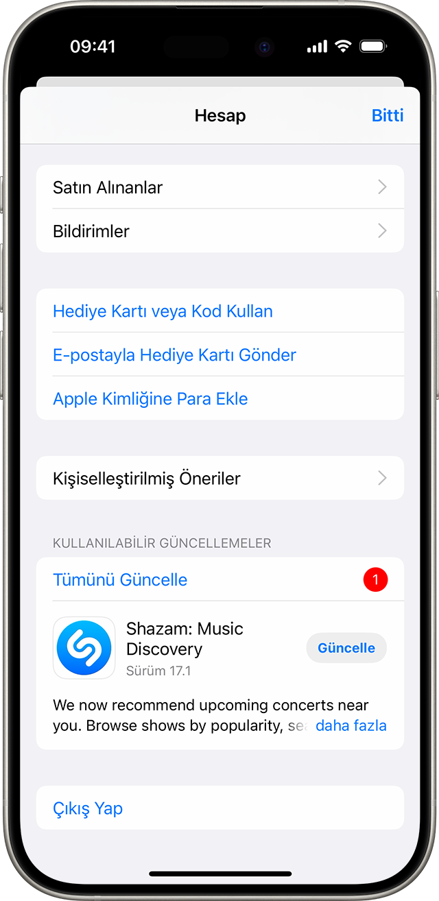 Tümünü Güncelle düğmesini gösteren iPhone.