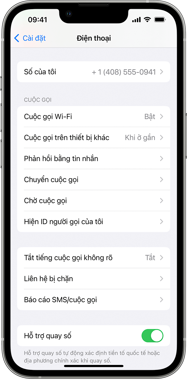 Một chiếc iPhone đang hiển thị màn hình Điện thoại đã bật tính năng Cuộc gọi Wi-Fi.