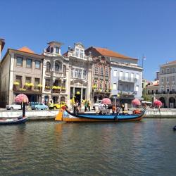 Aveiro 38 guesthousea