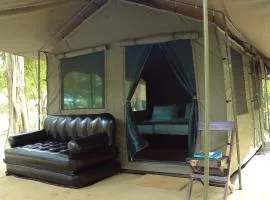 Leopard Glamping - Luxury Mobile Campsite in Yala