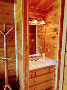 a bathroom with a sink and a mirror at NewVida Preserve in Wilmington