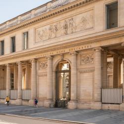 Paris Descartes University