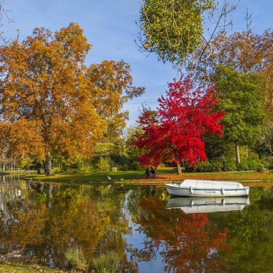 A verdant stroll in Bois de Vincennes