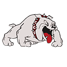 Chateaugay Central School logo