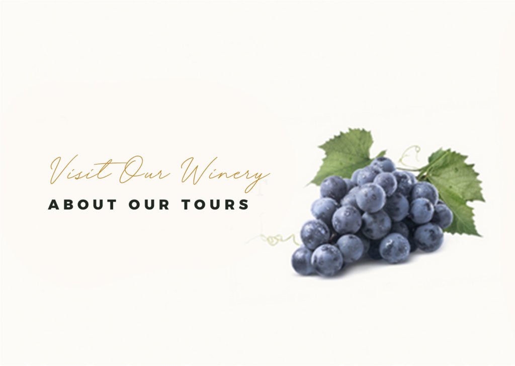 Korbel Tours