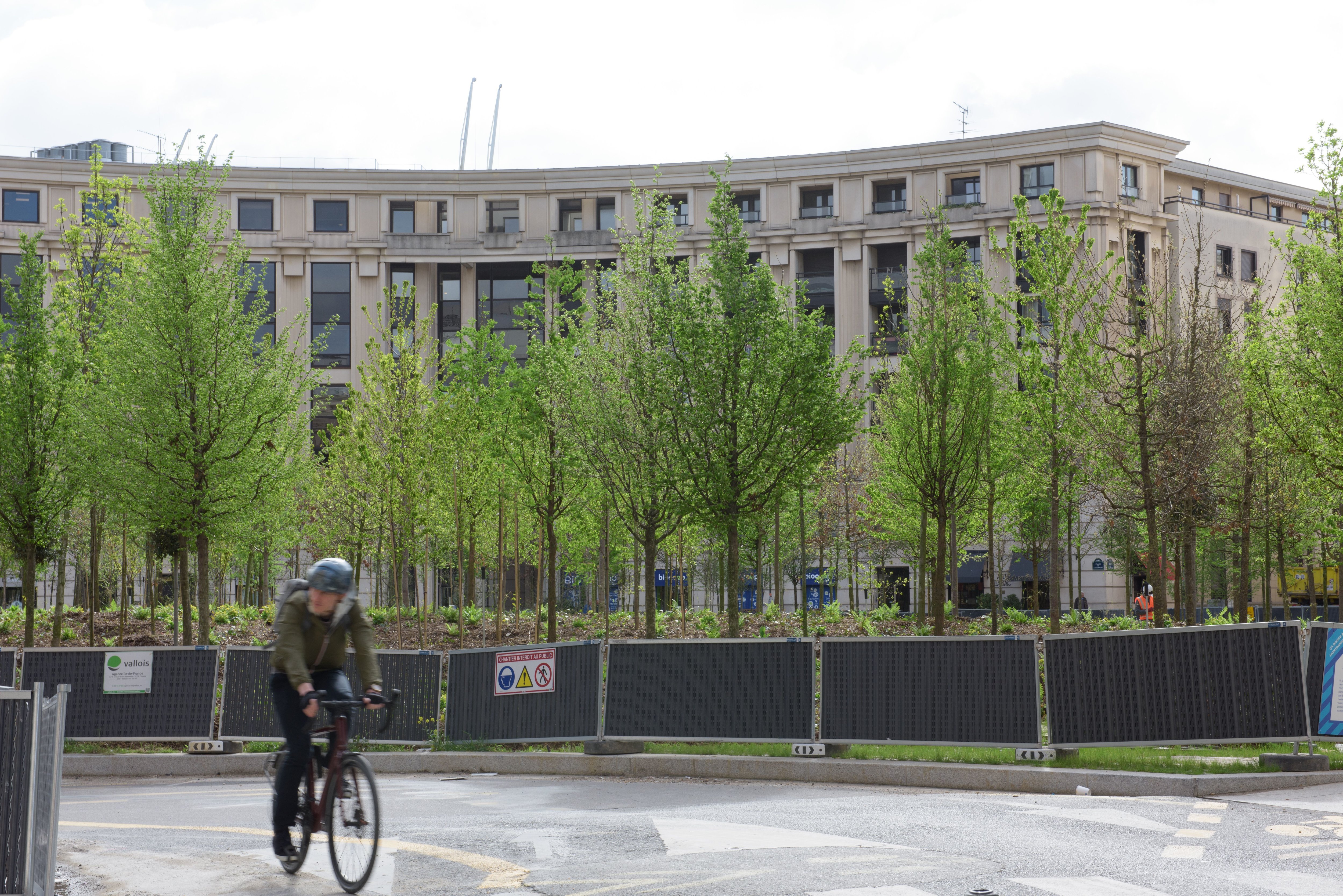 Place de la Catalogne, Paris (XIVe), mardi 9 avril 2024. Près de 500 arbres ont été plantés sur ce rond-point, qui doit constituer à terme une mini-forêt. LP/Amélie Dibon