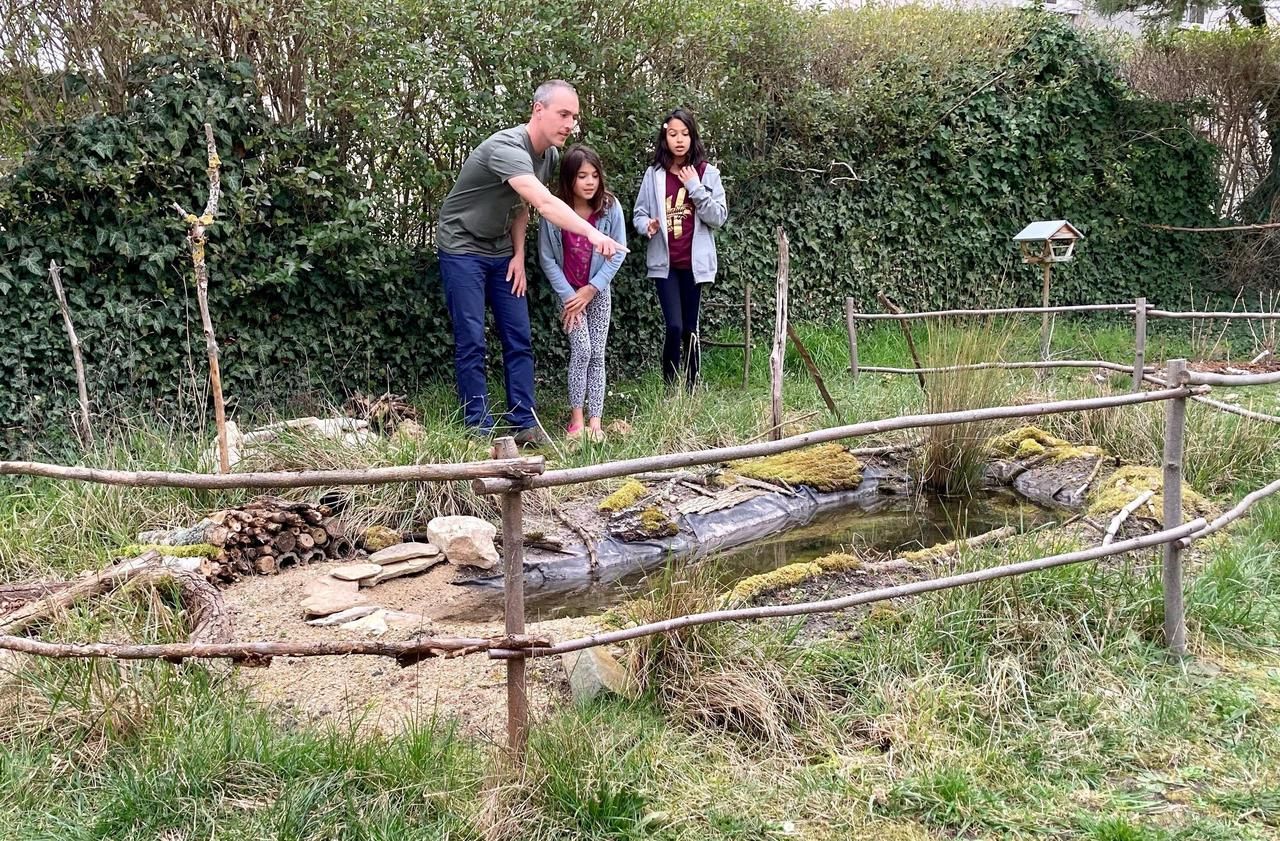 <b></b> Neuilly-Plaisance (Seine-Saint-Denis). Amoureux de la nature, Vincent Limagne aménage son jardin pour inciter la faune locale à y élire domicile.