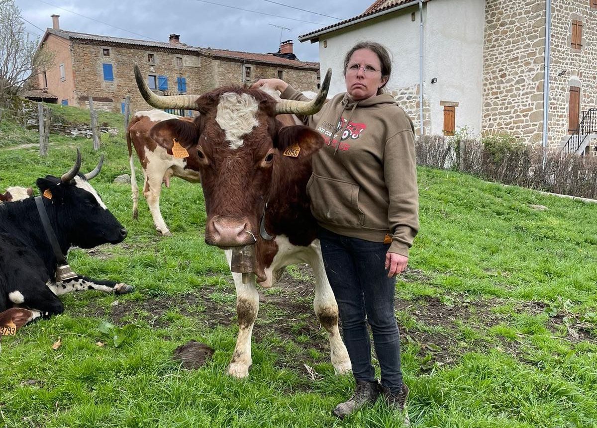 À Cunlhat, Marie-Laure Espinasse explique que les cloches leur permettent de retrouver plus rapidement leurs animaux quand ceux-ci sortent des prés. DR/Antonin Espinasse