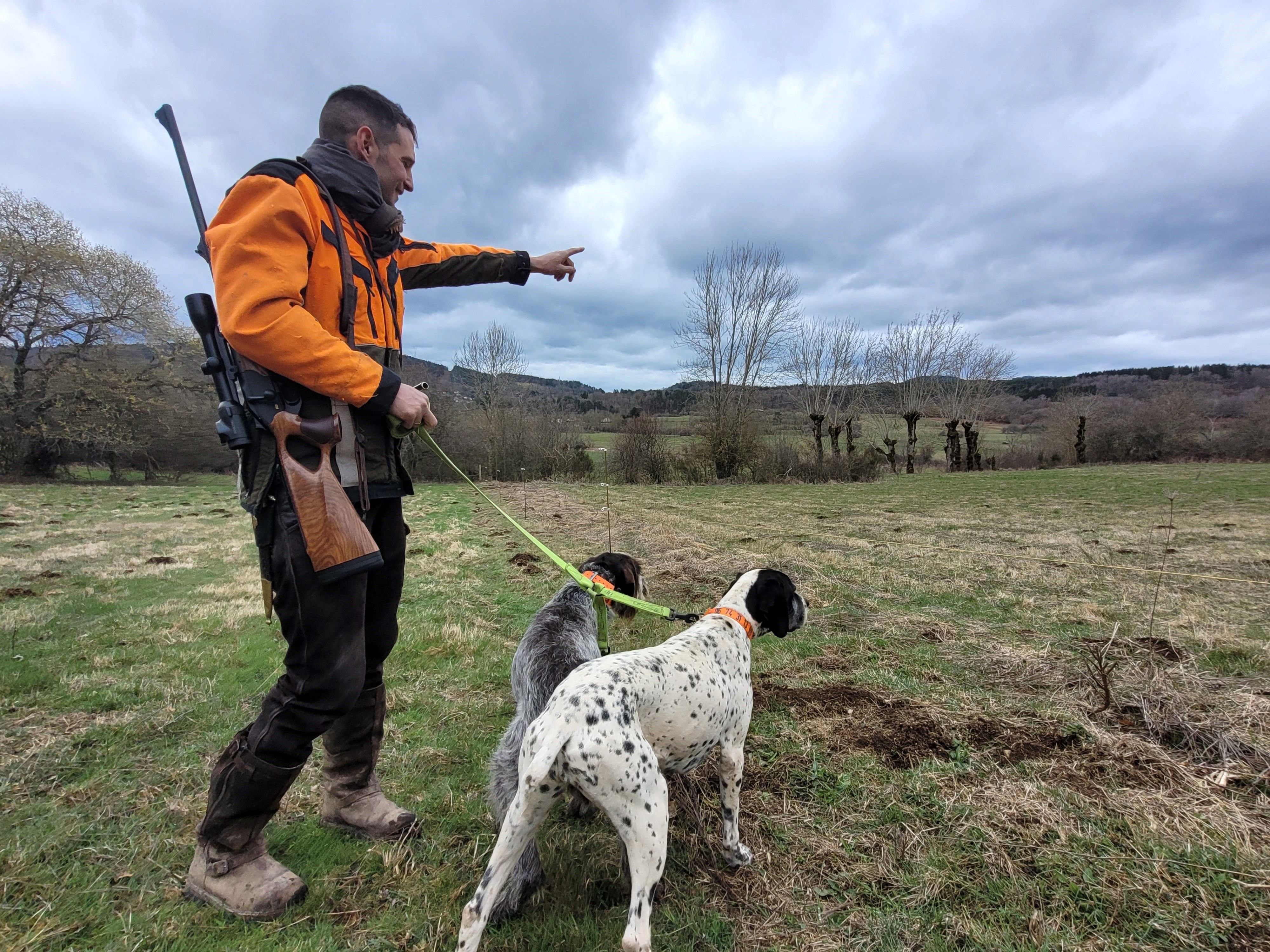 Le 9 mars, le chasseur Nicolas Audouard, est autorisé par la préfecture, à abattre jusqu'à fin mars les sangliers, à Lachamps, dans le Puy-de-Dôme. LP/Geneviève Colonna d'Istria