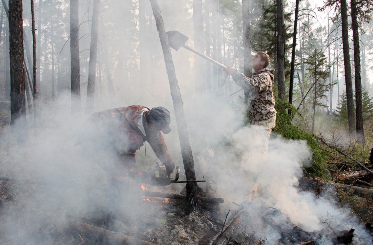 Les régions arctiques sont particulièrement touchées par des feux de forêt. AFP / DMITRY DMITRIYEV