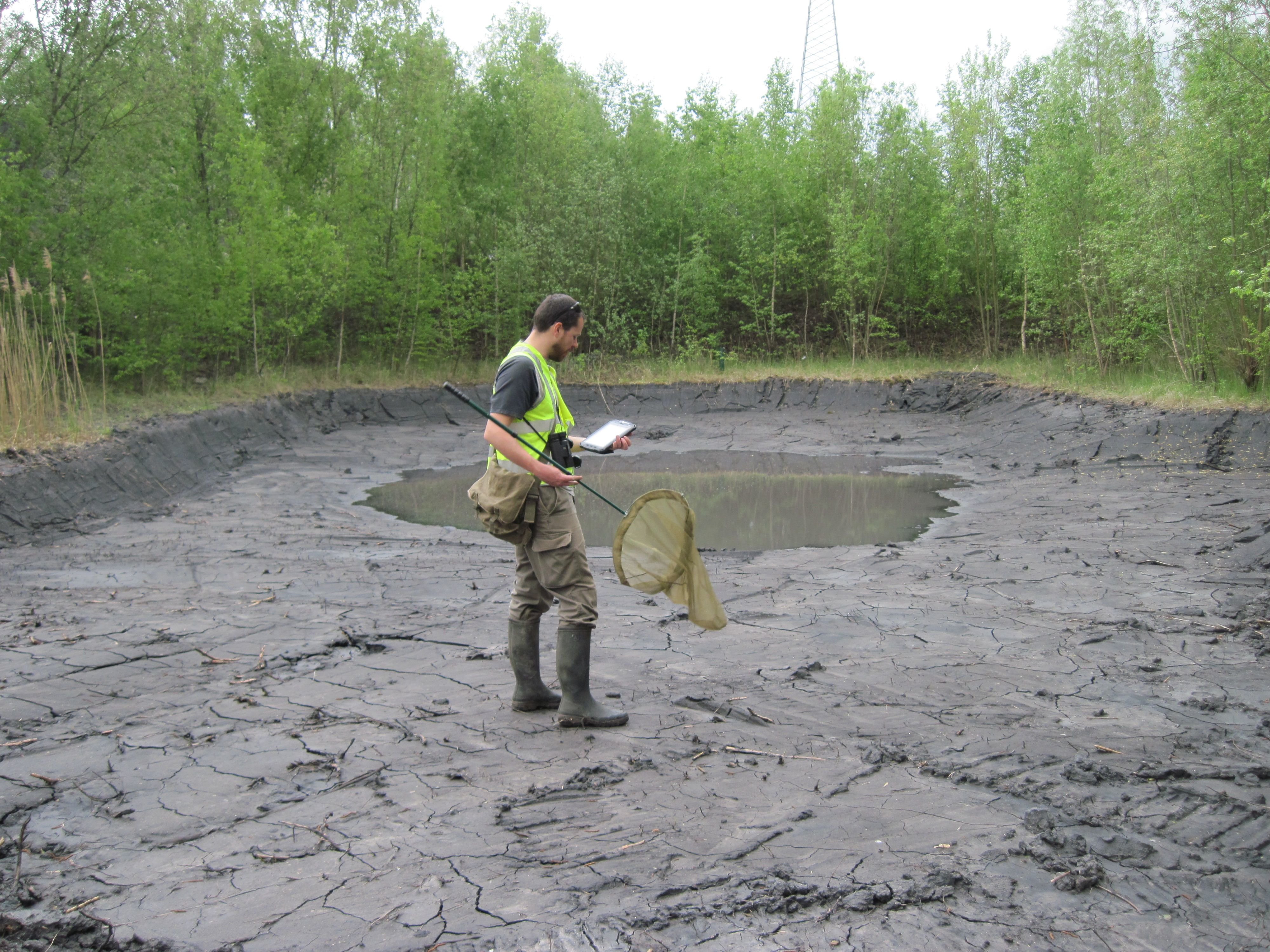 Les métiers du génie écologique couvrent à la fois les études et les travaux qui permettent de sauvegarder ou restaurer les milieux naturels. UPGE