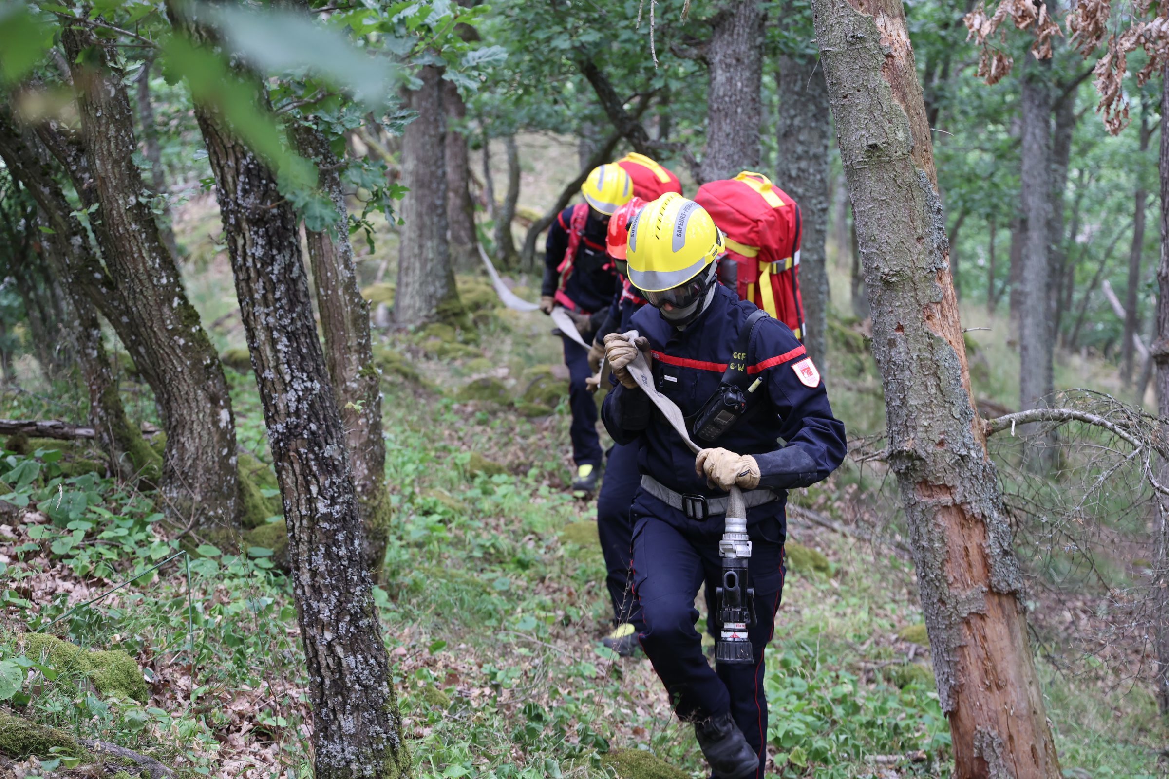 Afin de lutter contre les feux de forêts, des pompiers, ici dans le Haut-Rhin, procèdent à un exercice avec leur matériel (Illustration). PhotoPQR/L'Alsace/Hervé Kielwasser
