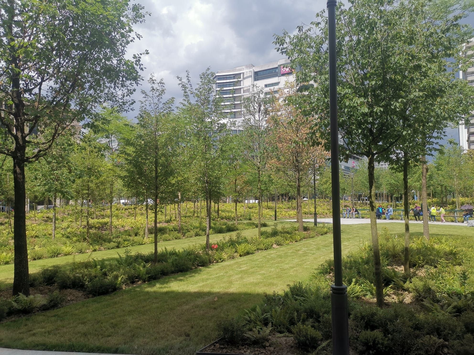 Paris, place de Catalogne (XIVe), le 12 juin. Anne Hidalgo a inauguré mercredi la première forêt urbaine de Paris. Plus de 470 arbres ont été plantés. LP/Pauline Darvey