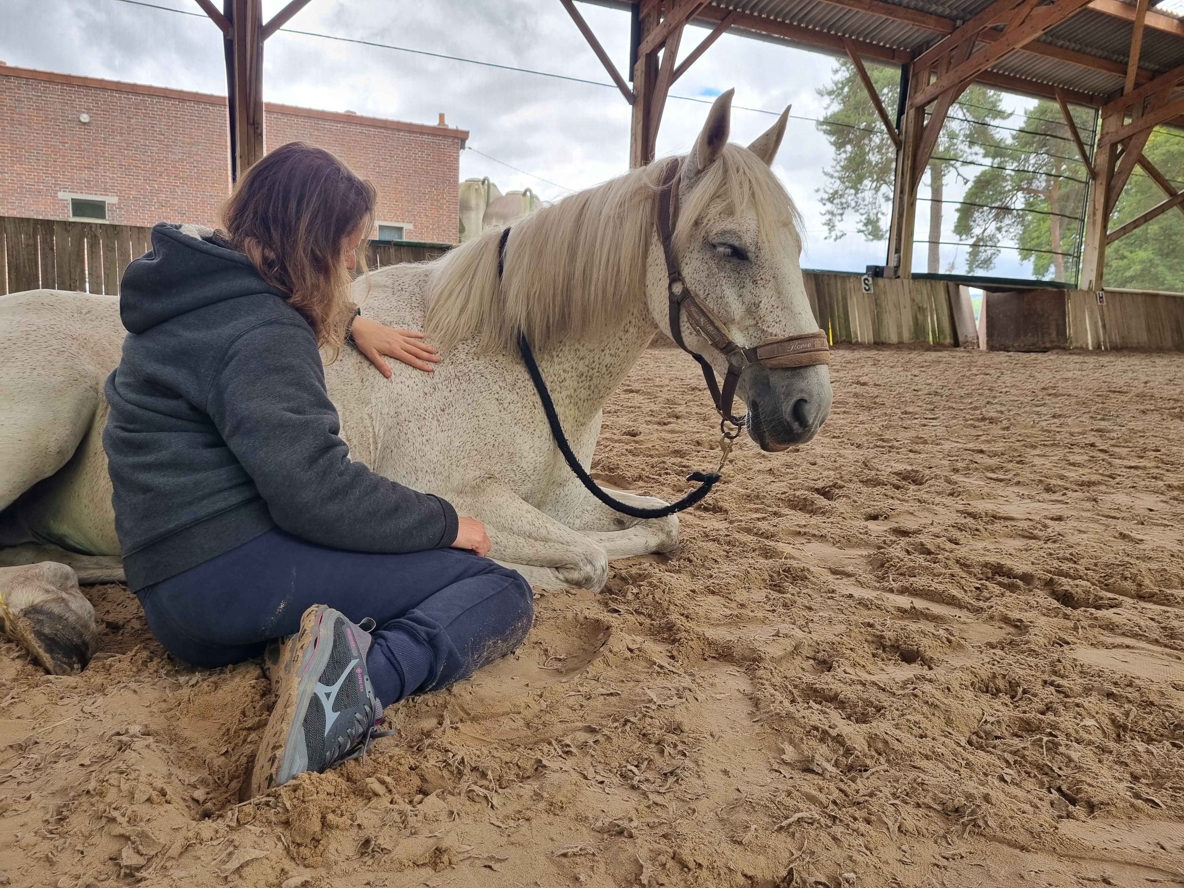 Mortefontaine (Oise), le 14 juin 2024. Quand elle rencontre le cheval Bodeguero au début de l'atelier, Charlie a les yeux bandés. Après quelques minutes de caresses, l'animal décide de s'asseoir. Il est parfaitement détendu. LP.Armelle Camelin