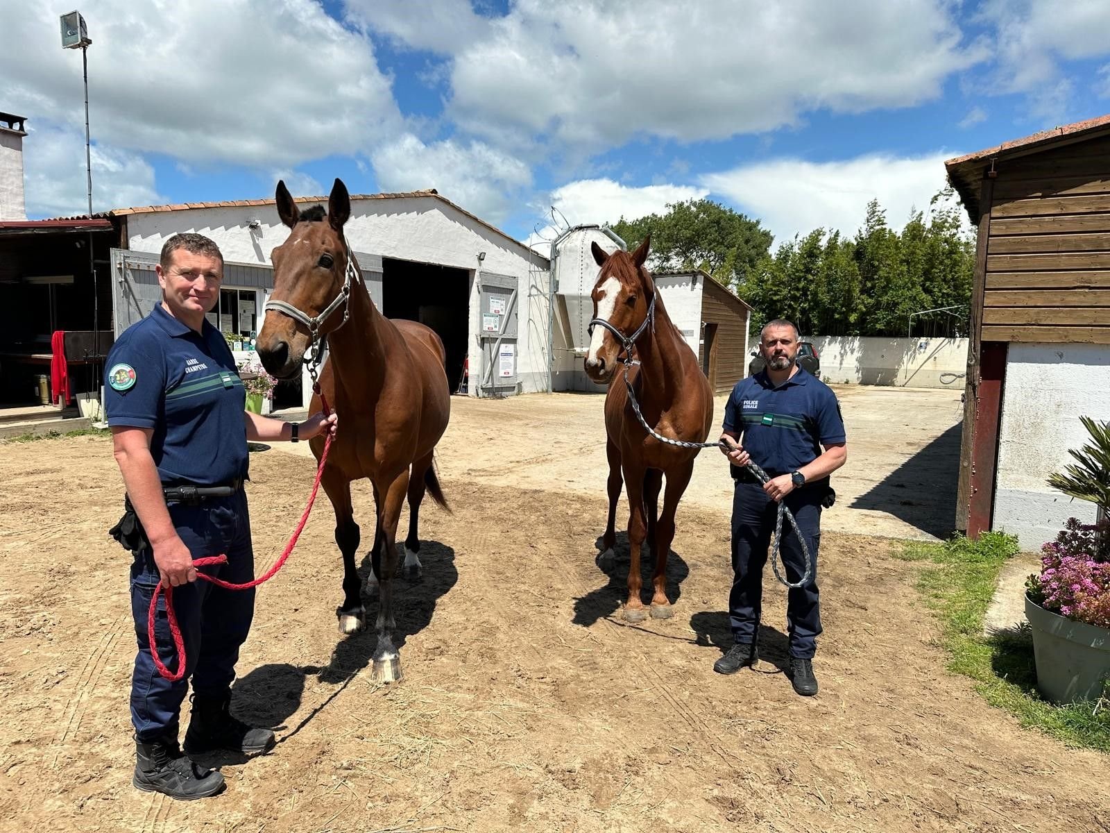 La Flotte-en-Ré (Charente-Maritime) lance en août 2024 sa brigade équestre composée de deux gardes champêtres et anciens sapeurs-pompiers de Paris : Kévin Mouëllic (à gauche) et Frédéric Guyonvarch. ©Commune de La Flotte-en-Ré