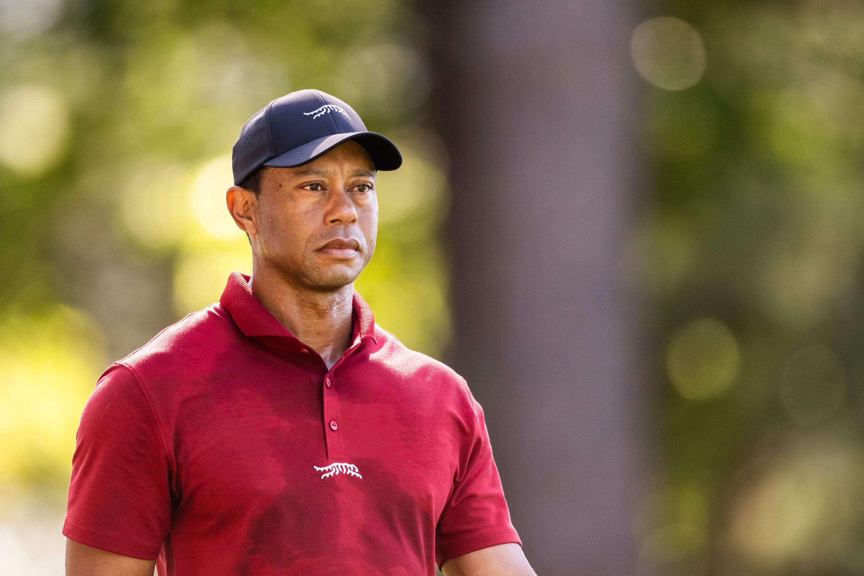 Tiger Woods a refusé une offre de plusieurs centaines de millions d'euros pour rejoindre le circuit saoudien du LIV. Petter Arvidson/Icon Sport