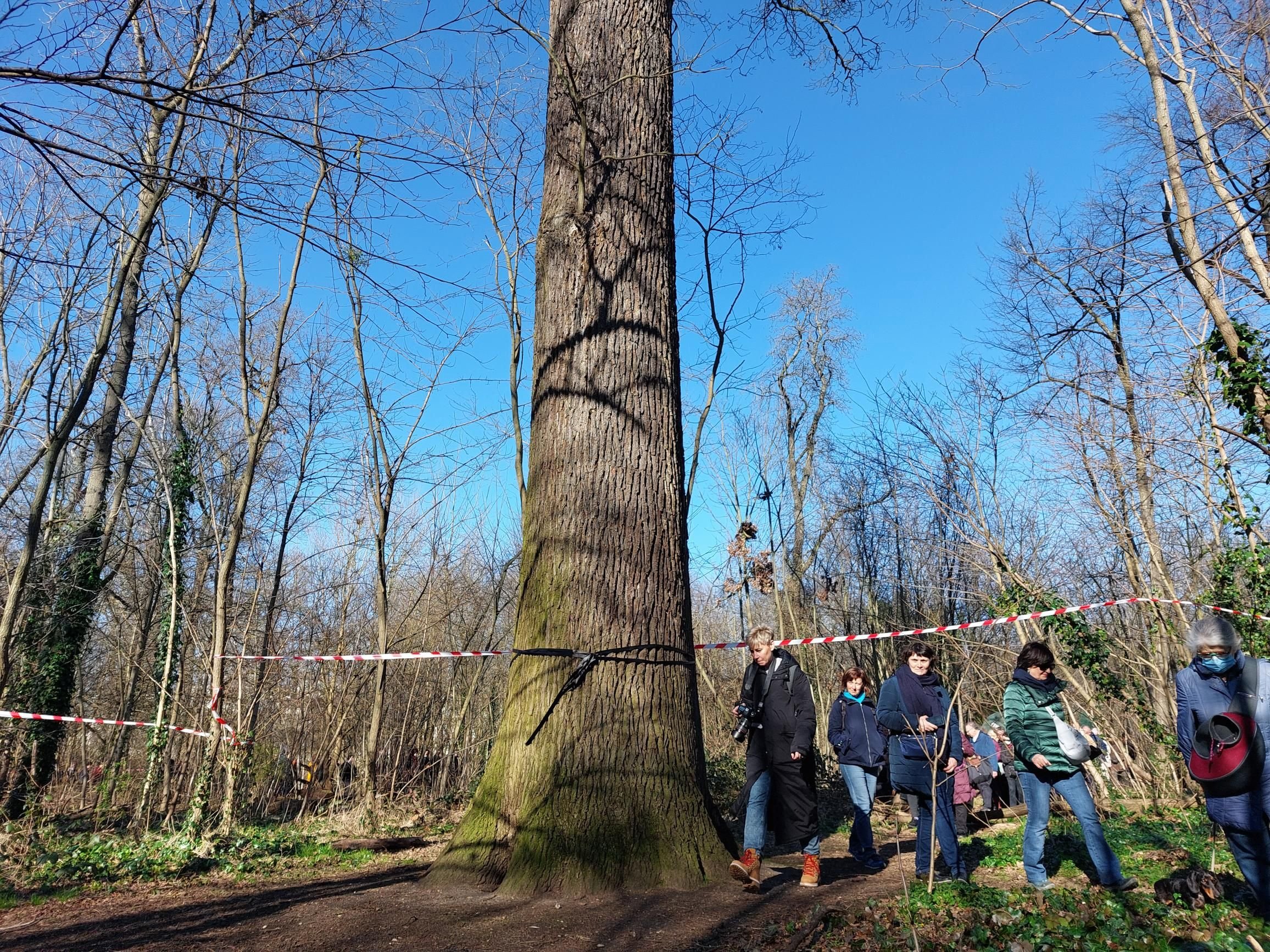 Bois de Vincennes, samedi 26 février 2022. Déjà inquiets par le prolongement de la ligne 1 du métro, qui pourrait passer par une partie du bois, les défenseurs de la faune et de la flore se mobilisent pour être mieux informés sur la gestion de ce poumon vert. LP/Gérald Moruzzi