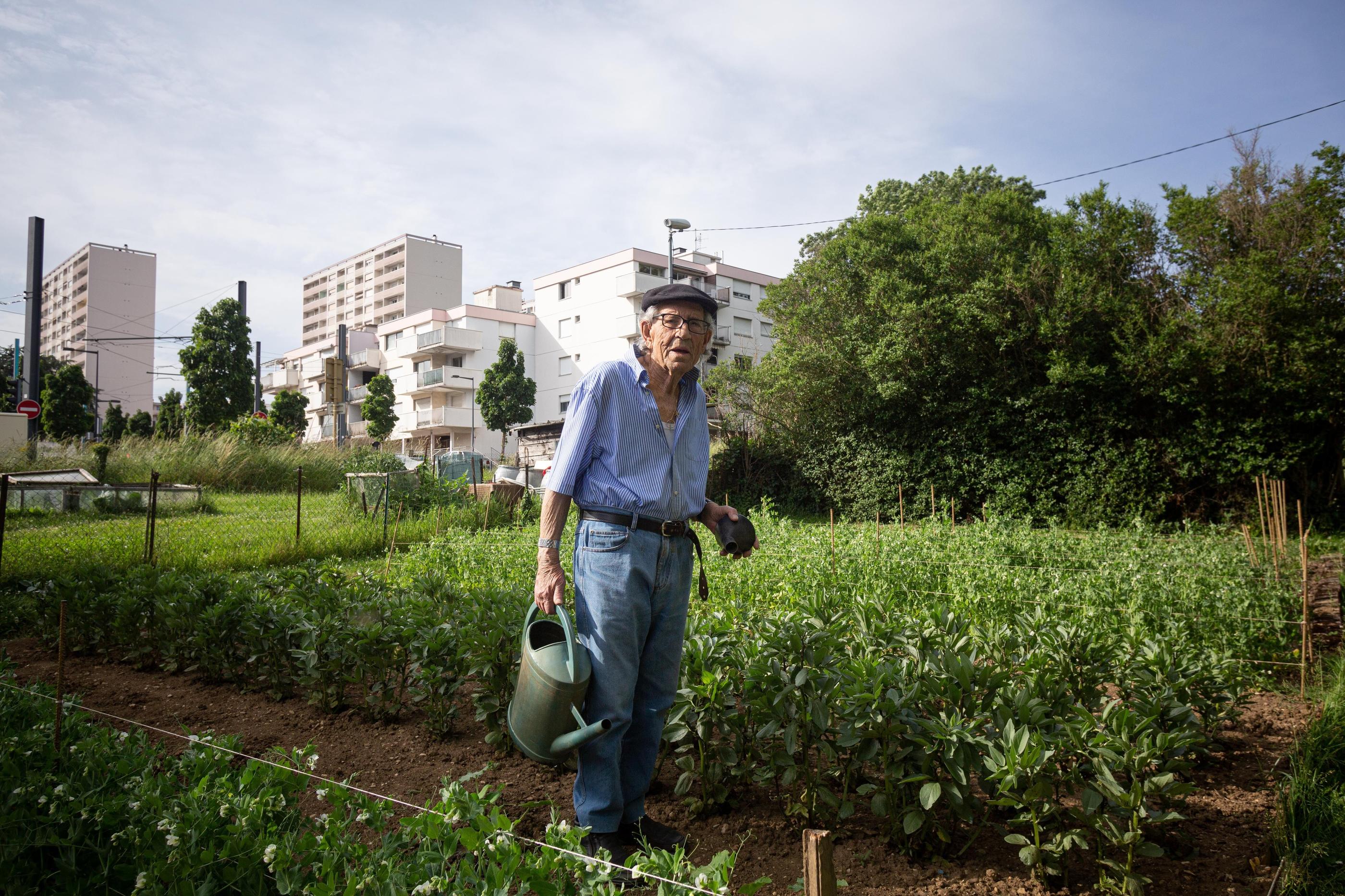 Besançon (Doubs), le 20 mai. Un projet de construction d’un écoquartier va détruire une vaste étendue verte dans la ville. Les riverains font bloc, comme Melcore-Angelo, 92 ans, jardinier italien, qui a peur du nouveau projet. LP/Stéphane Duprat