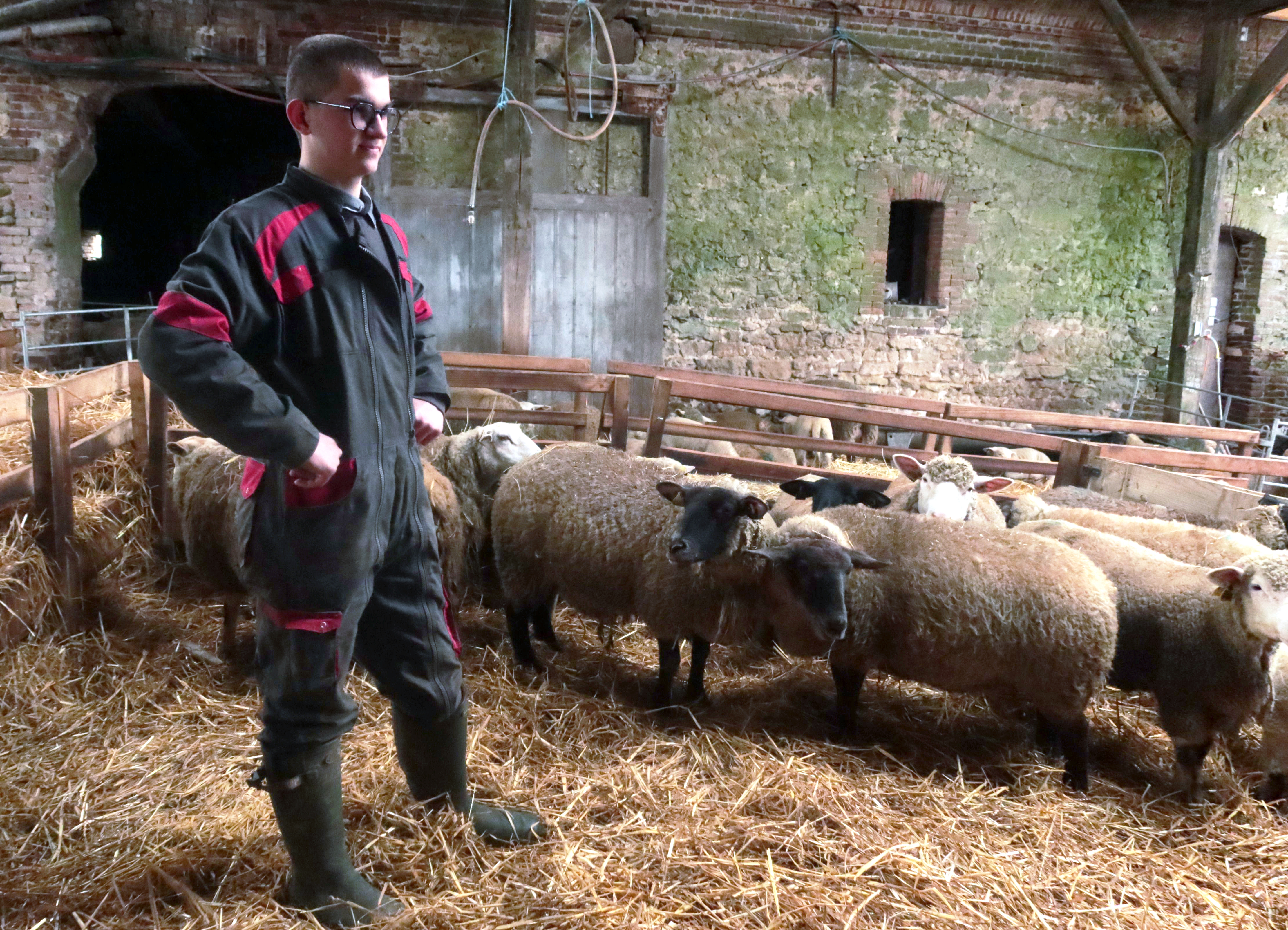 Saint-Quentin-des-Près (Oise), le 21 février. Benoît Toutain, à peine 18 ans et déjà à la tête d'une bergerie de 180 bêtes, participera à la Coupe du monde des jeunes bergers ce samedi 25 mai. LP/Florent Heib