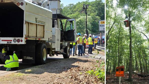 Police closely monitoring protestors as ‘tree-sit’ continues along Route 2 in Lincoln