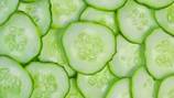 FDA, CDC trace cause of 31-state salmonella outbreak to cucumbers