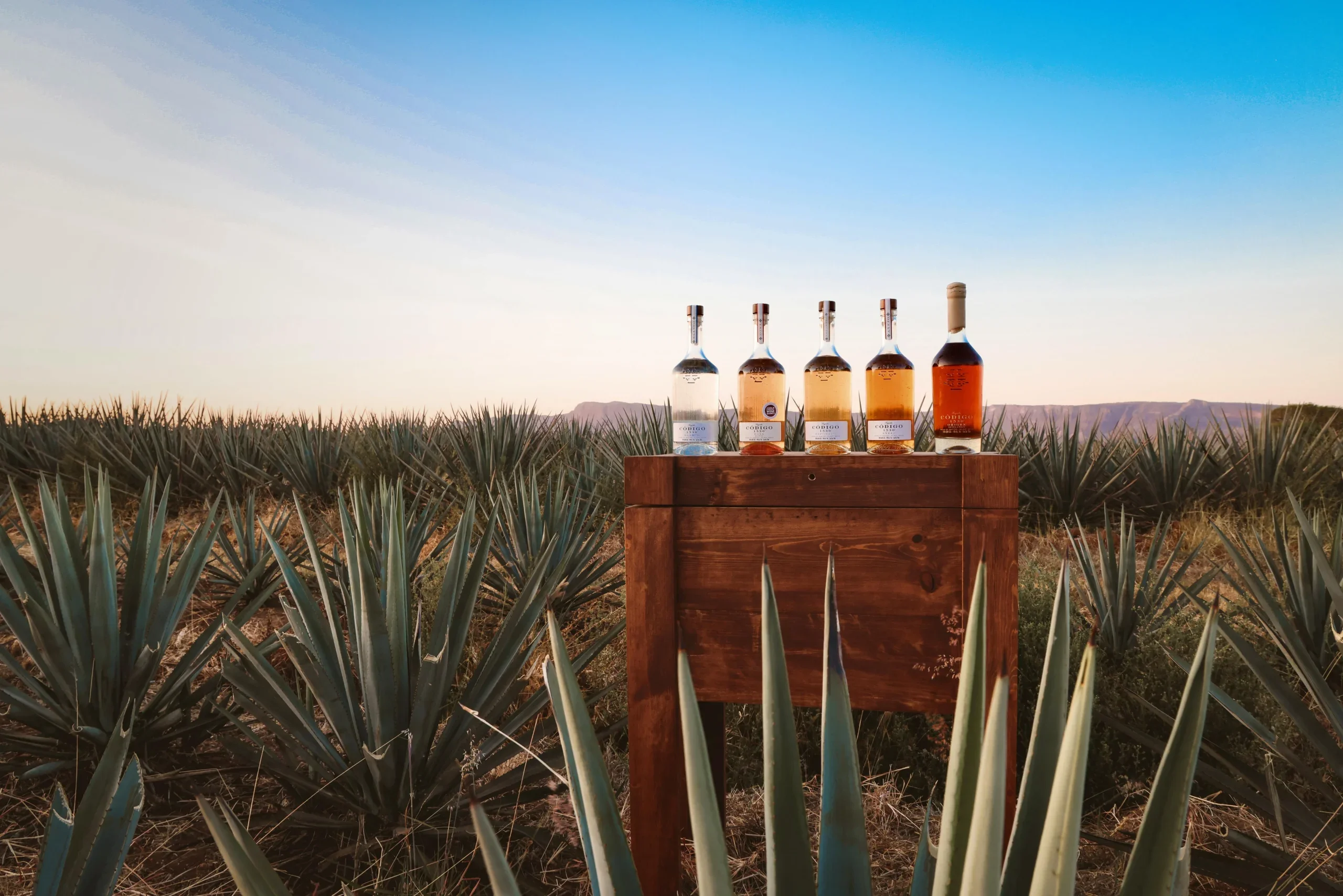 Codgo1530 tequila bottles placed on a wooden box