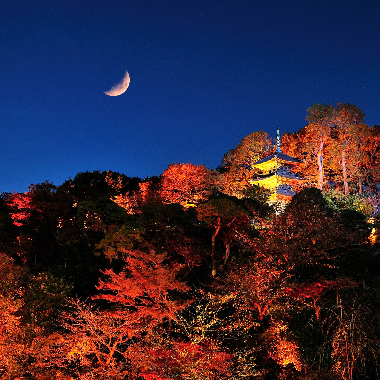 Destinazione Tokyo