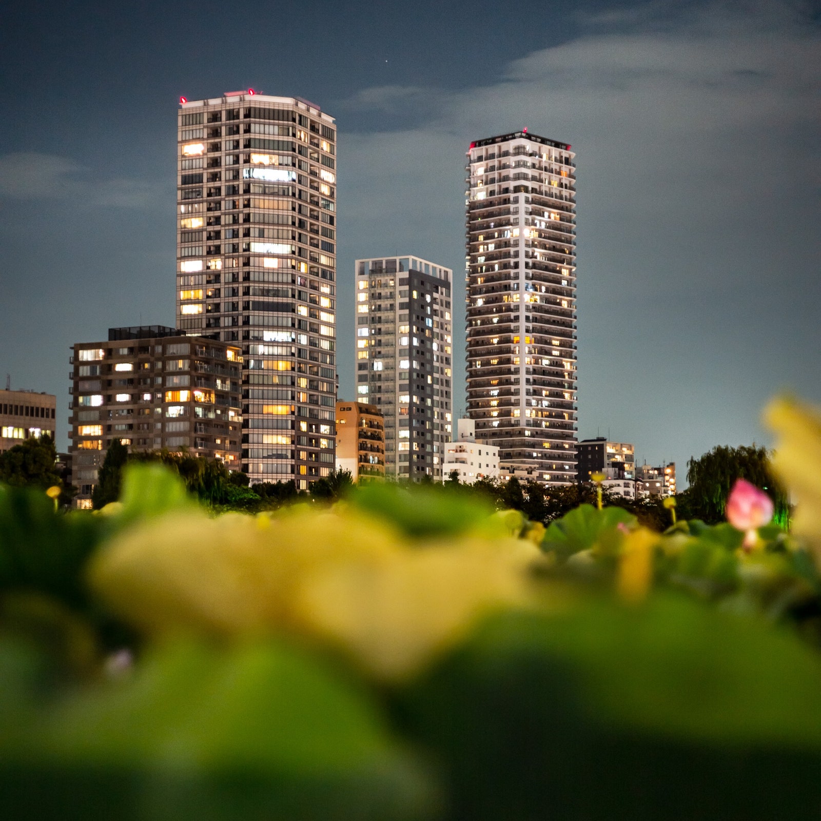 Tokyo: guida di viaggio per la primavera e l'estate