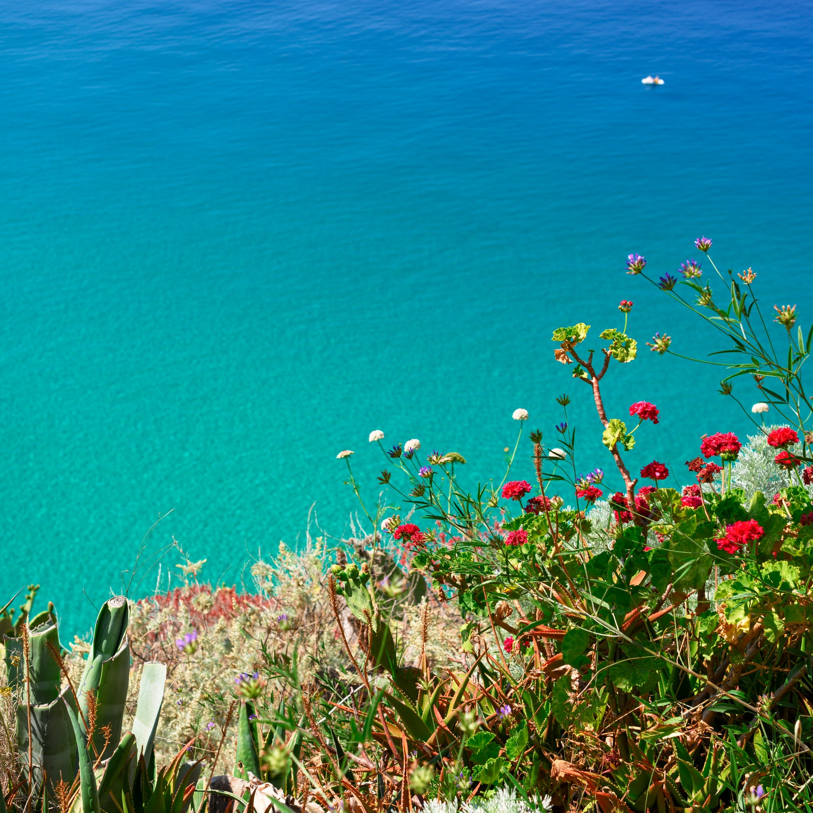 Vacanze in Calabria, l'itinerario estivo tra mare e cultura da Amantea a Capo Vaticano