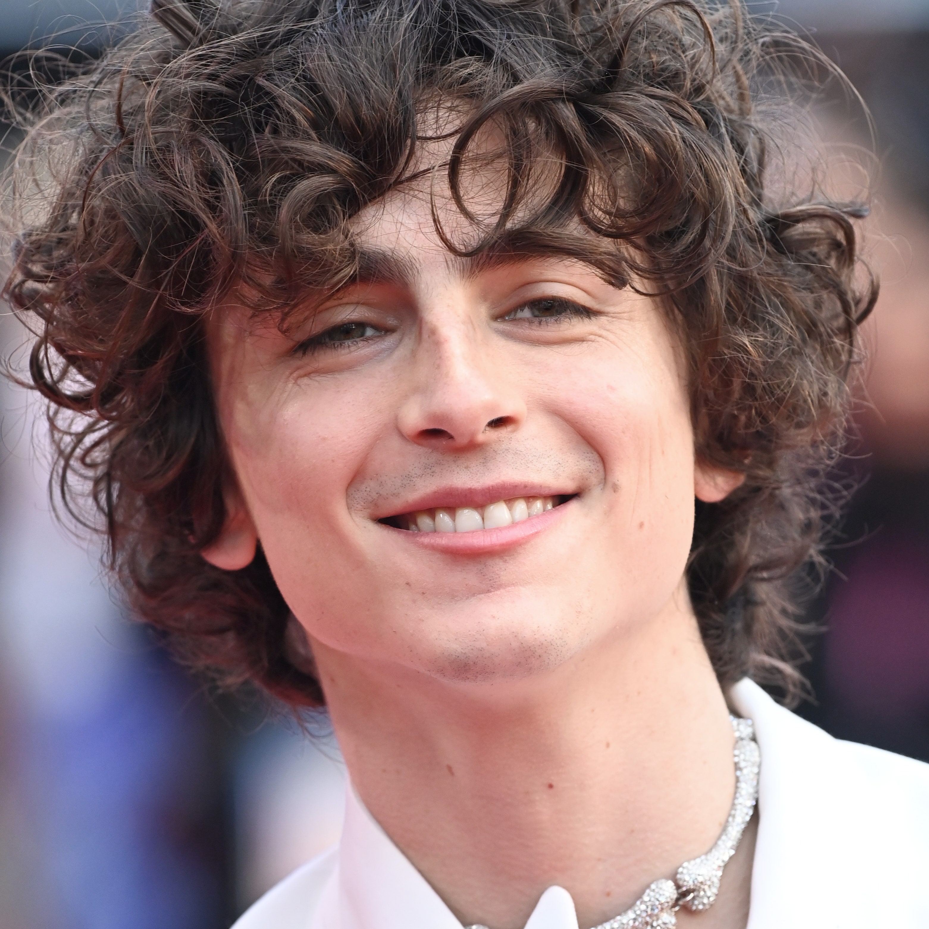 Ossa e insetti, così Timothée Chalamet infrange i tabù dei gioielli da uomo