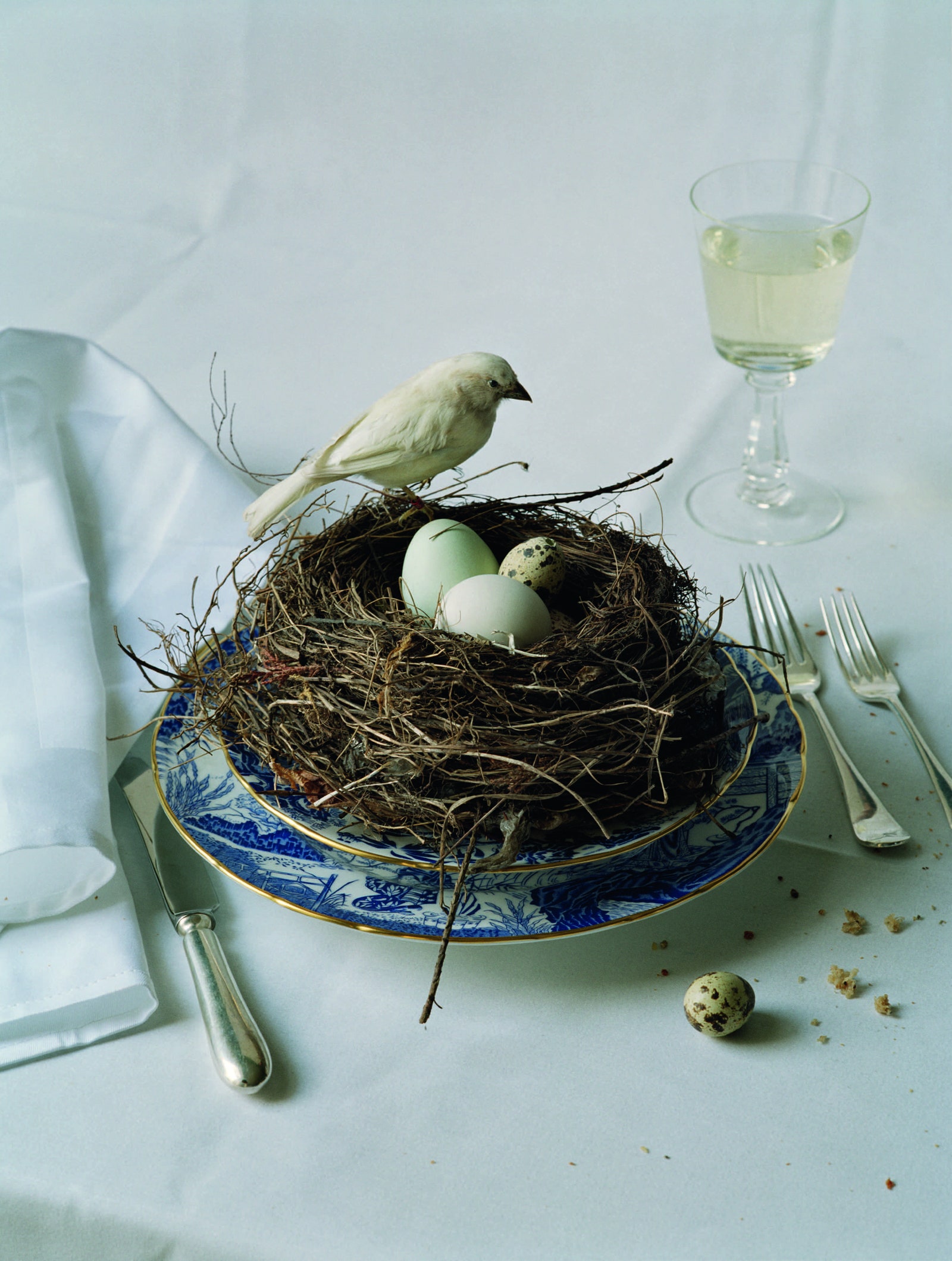 Tim Walker Pasqua