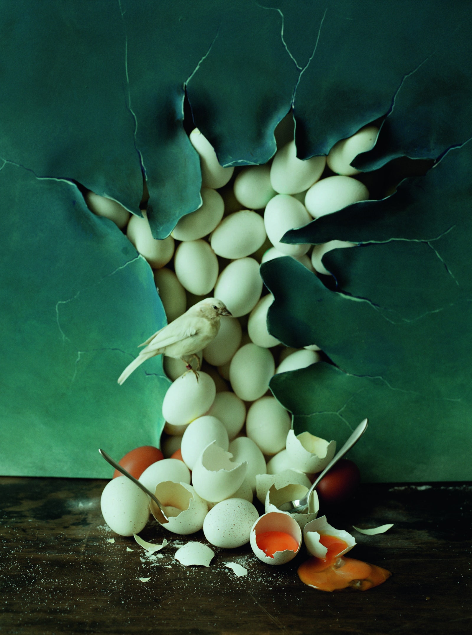 Tim Walker Pasqua