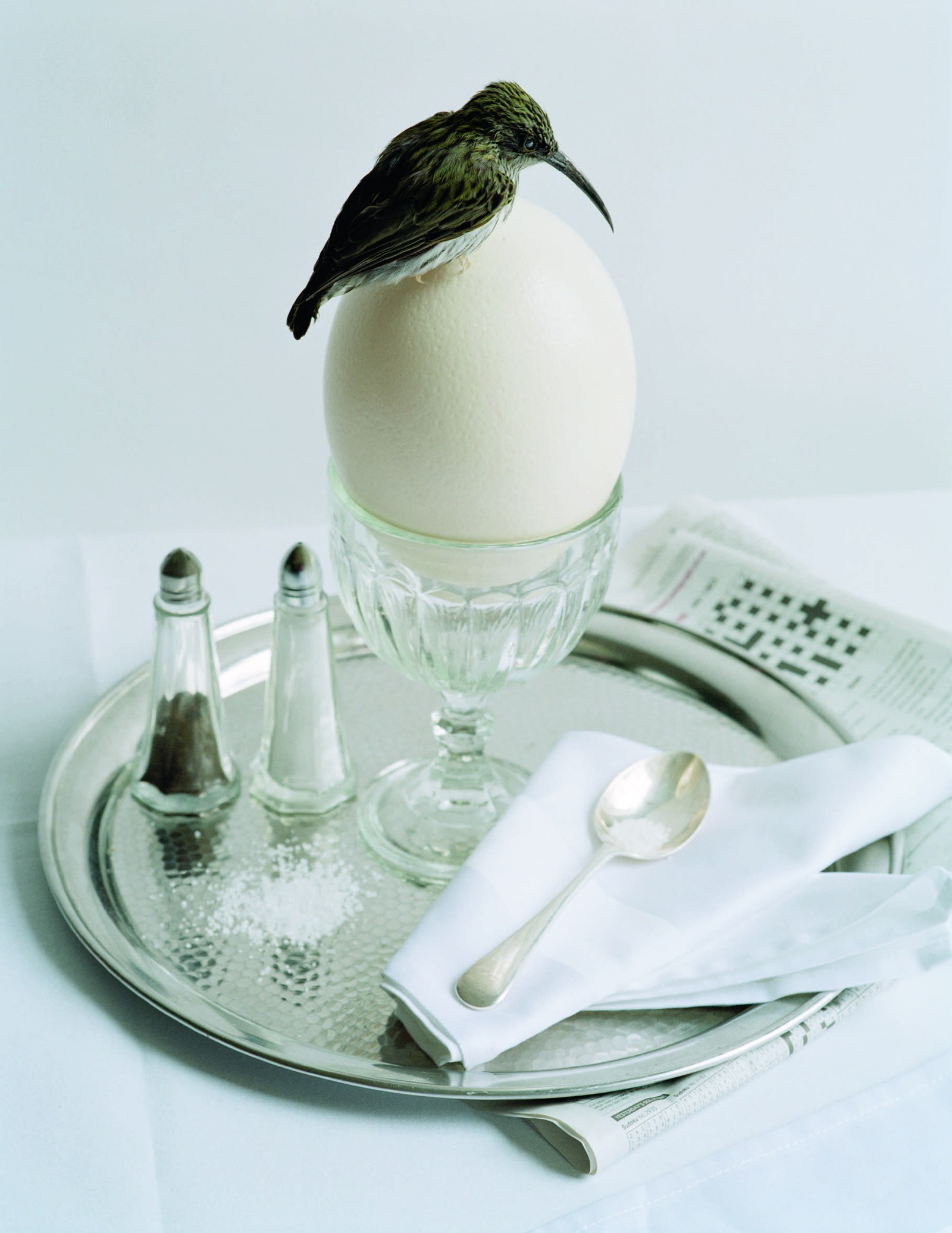 Tim Walker Pasqua