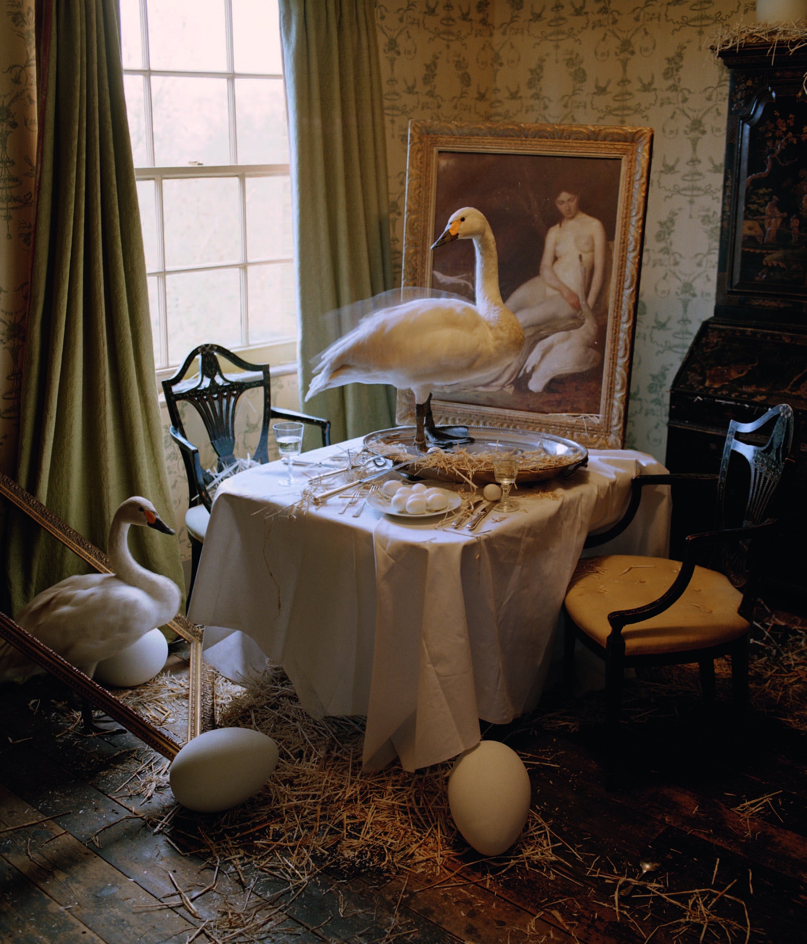 Tim Walker Pasqua