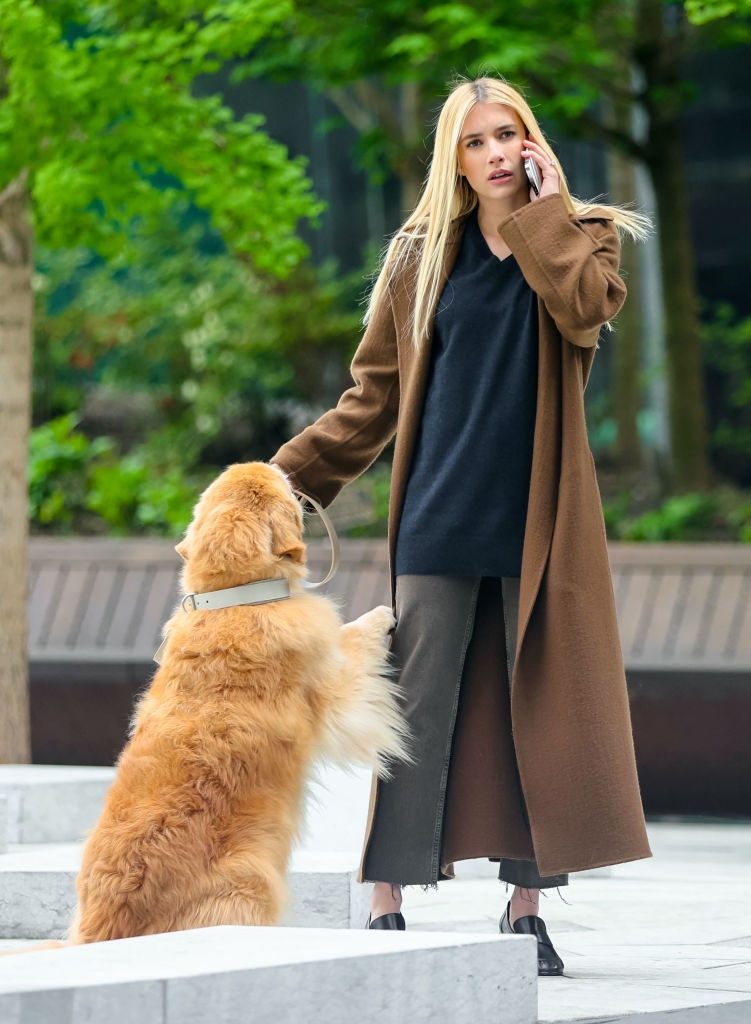 come vestirti per portare fuori il cane emma roberts