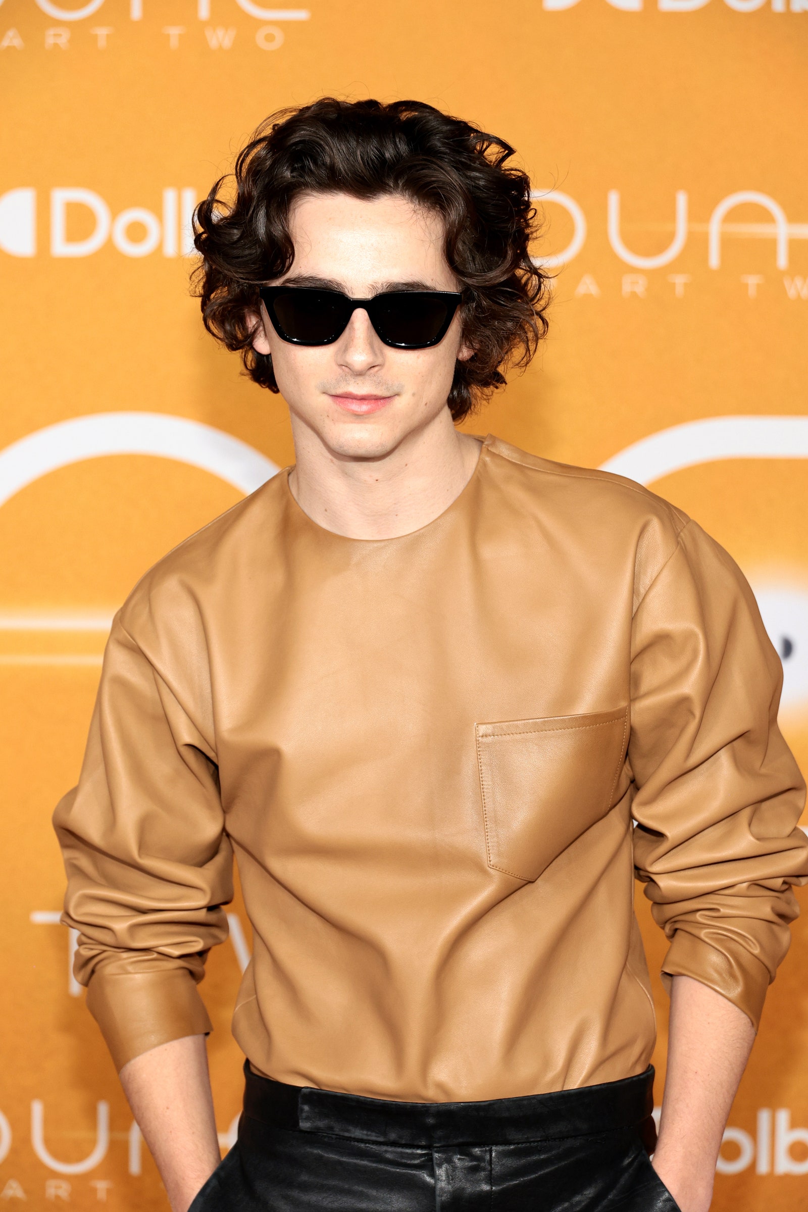 Timothe Chalamet