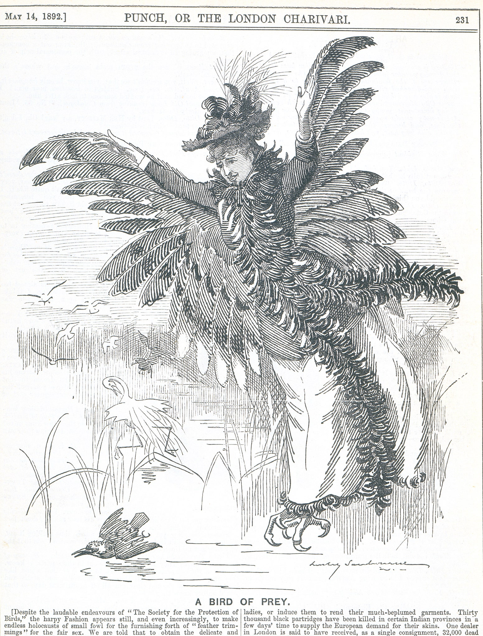 Bird of Prey di Edward Linley Sambourne  pubblicato su Punch il 14 Maggio 1892  Crediti VampAMUseum