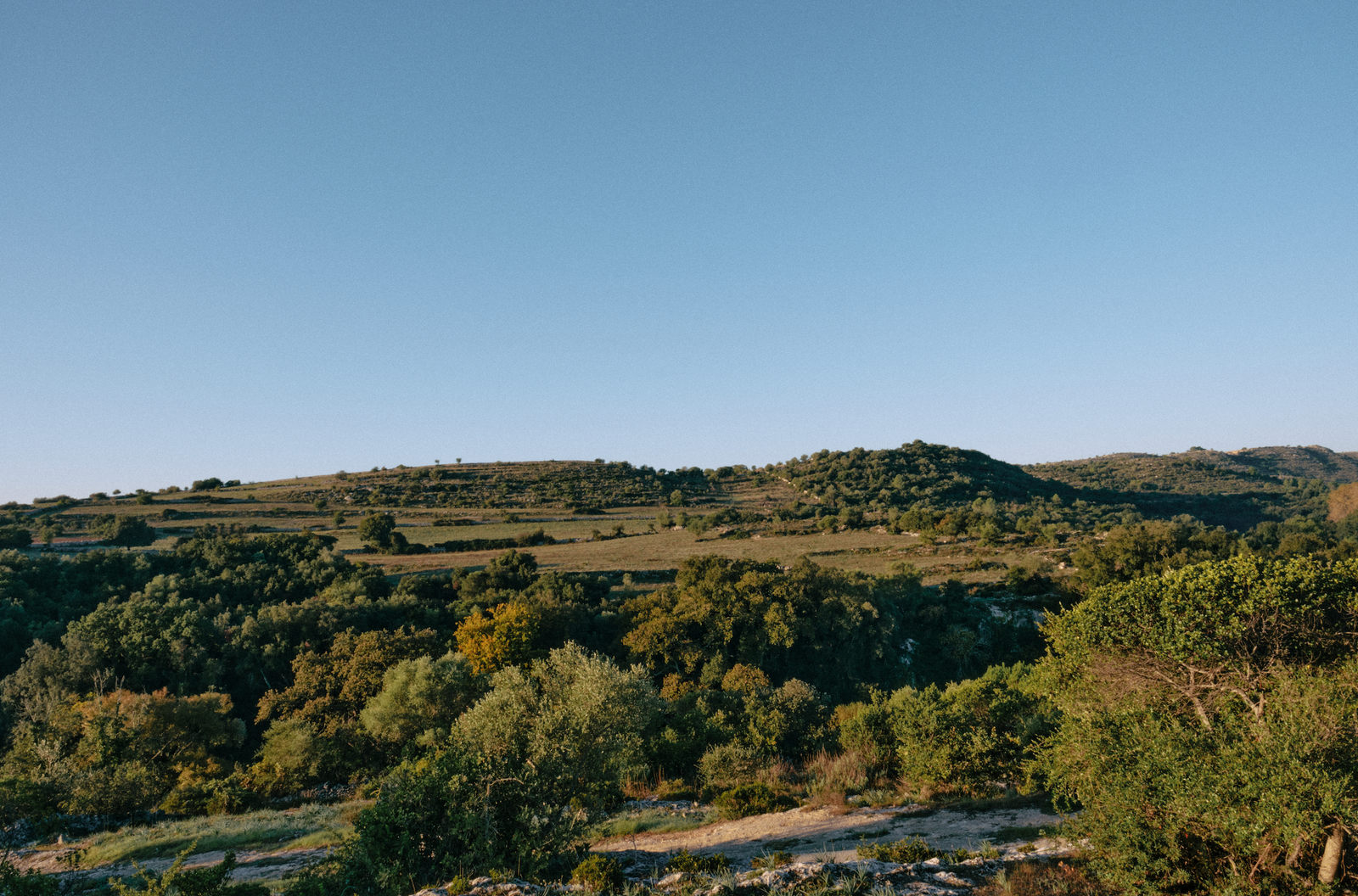 La campagna di Noto intorno alla Dimora delle Balze.