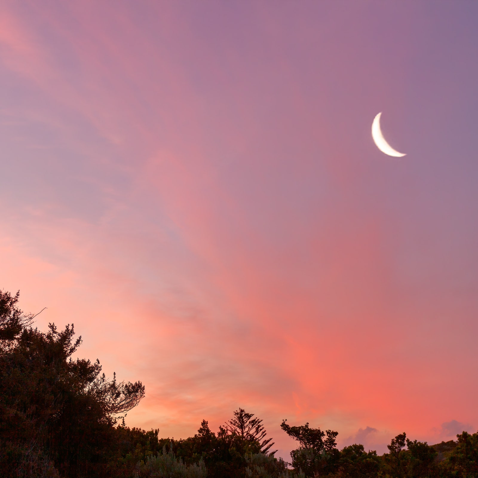 Luna Nuova del 6 luglio 2024: è ora di capire chi siete veramente