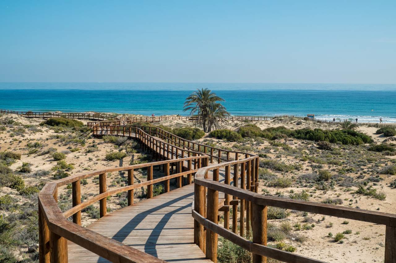 La spiaggia di Elche