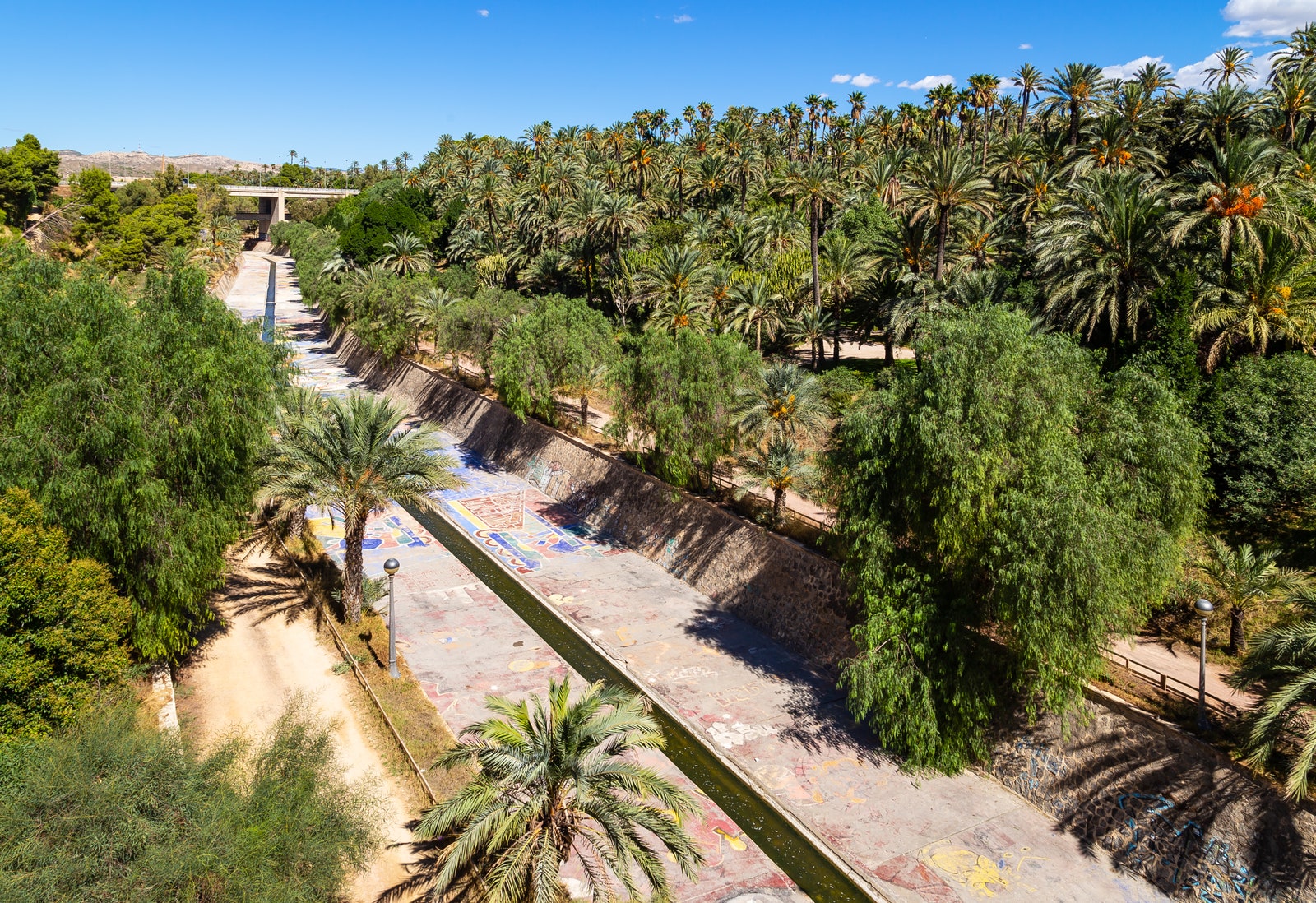 Il Palmeral a Elche