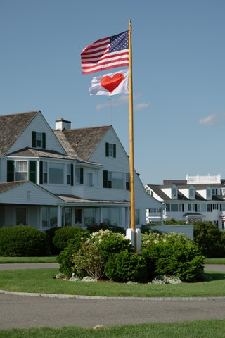 Image may contain Neighborhood Flag Grass Plant American Flag Suburb and Lawn