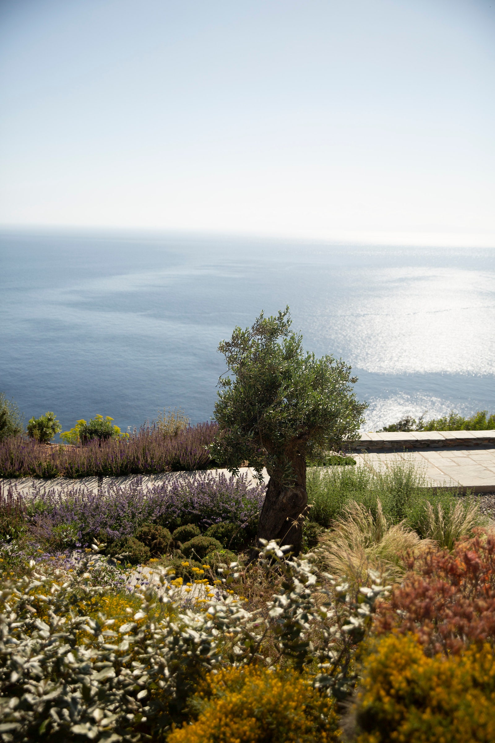 Photo Courtesy Verina Hotels Sifnos.