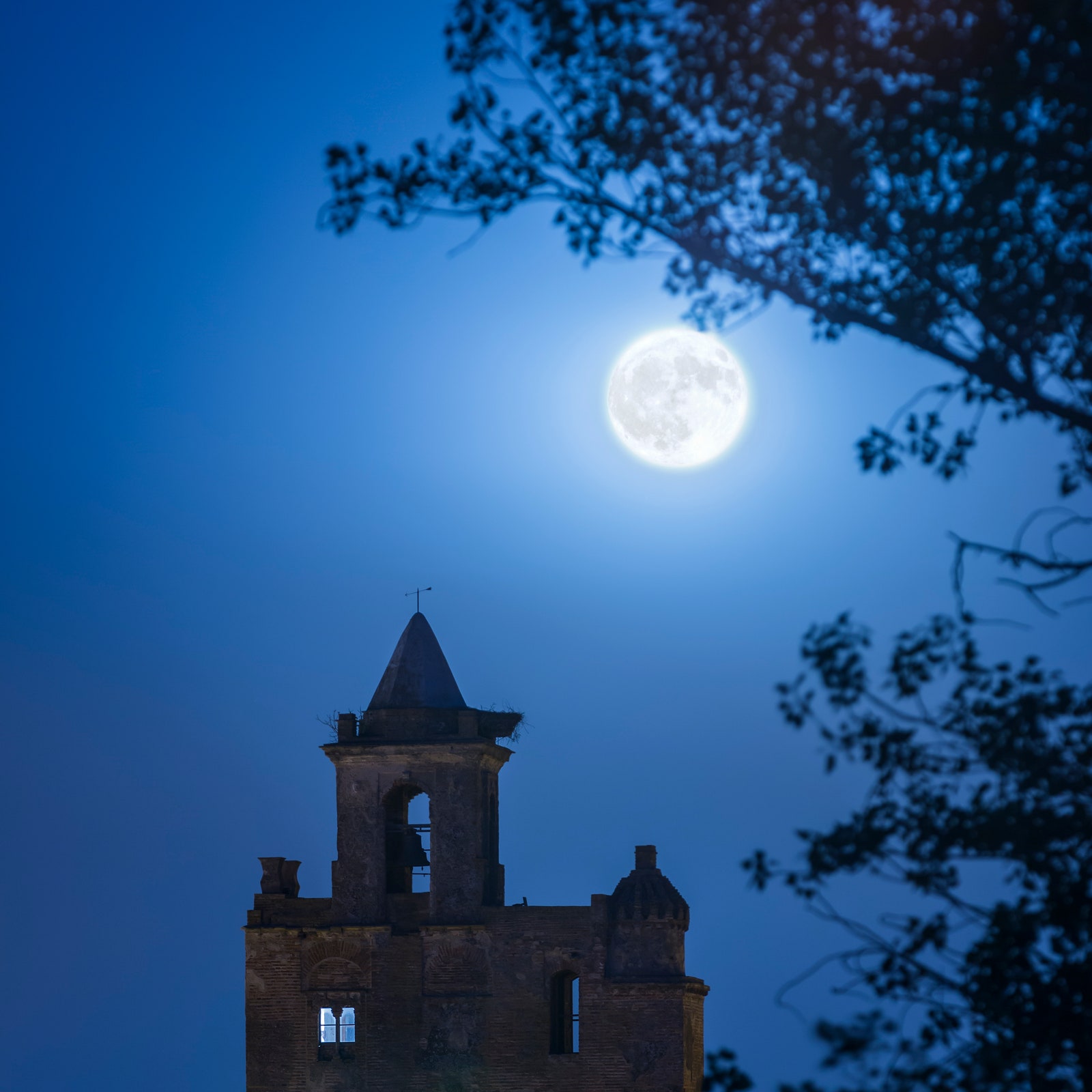 Super Luna Blu del 19 agosto 2024, tra le stelle cadenti: cresce il desiderio di uscire da vecchi schemi e di essere liberi