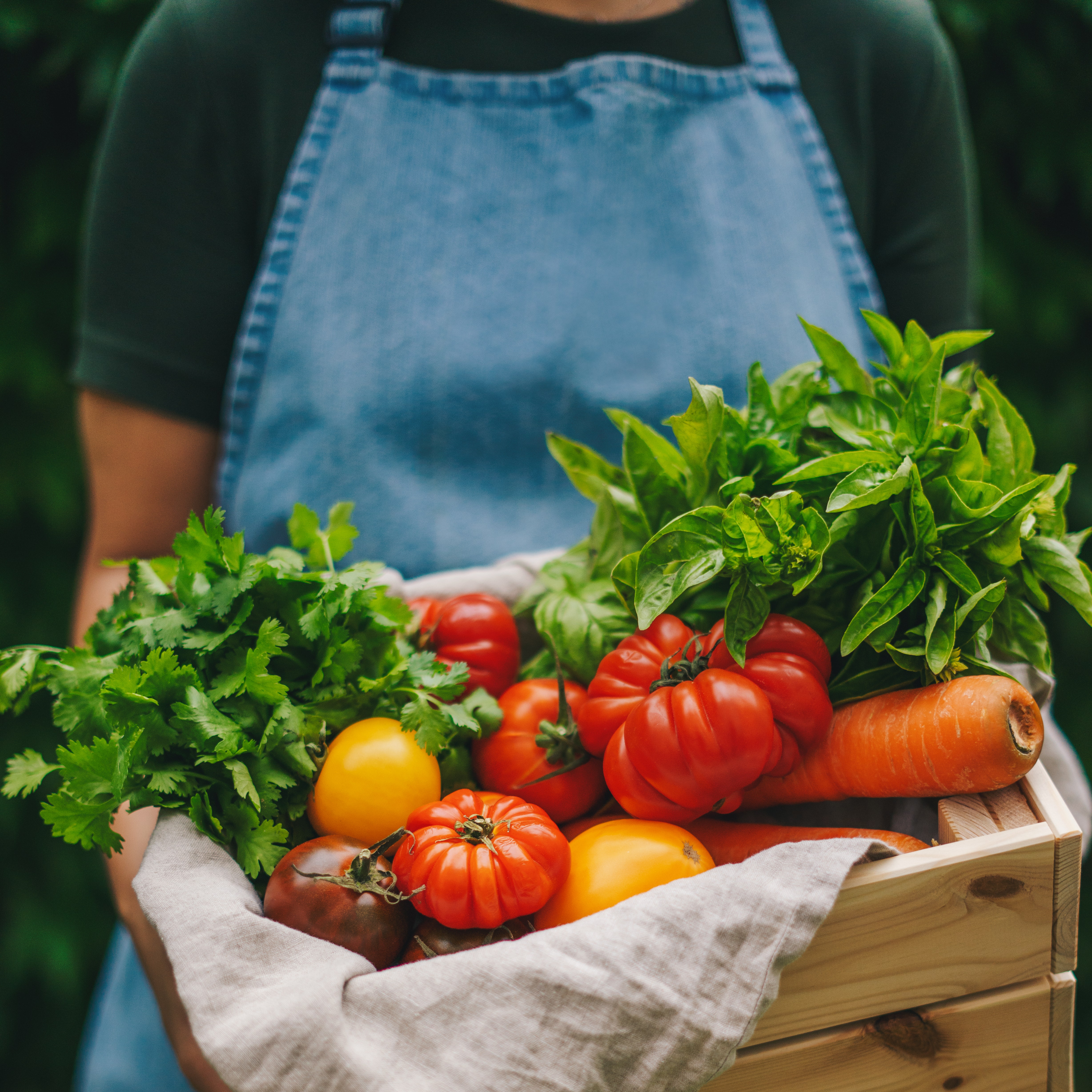 L'umile pianta ricca di nutrienti e povera di calorie che dovremmo mangiare ogni giorno