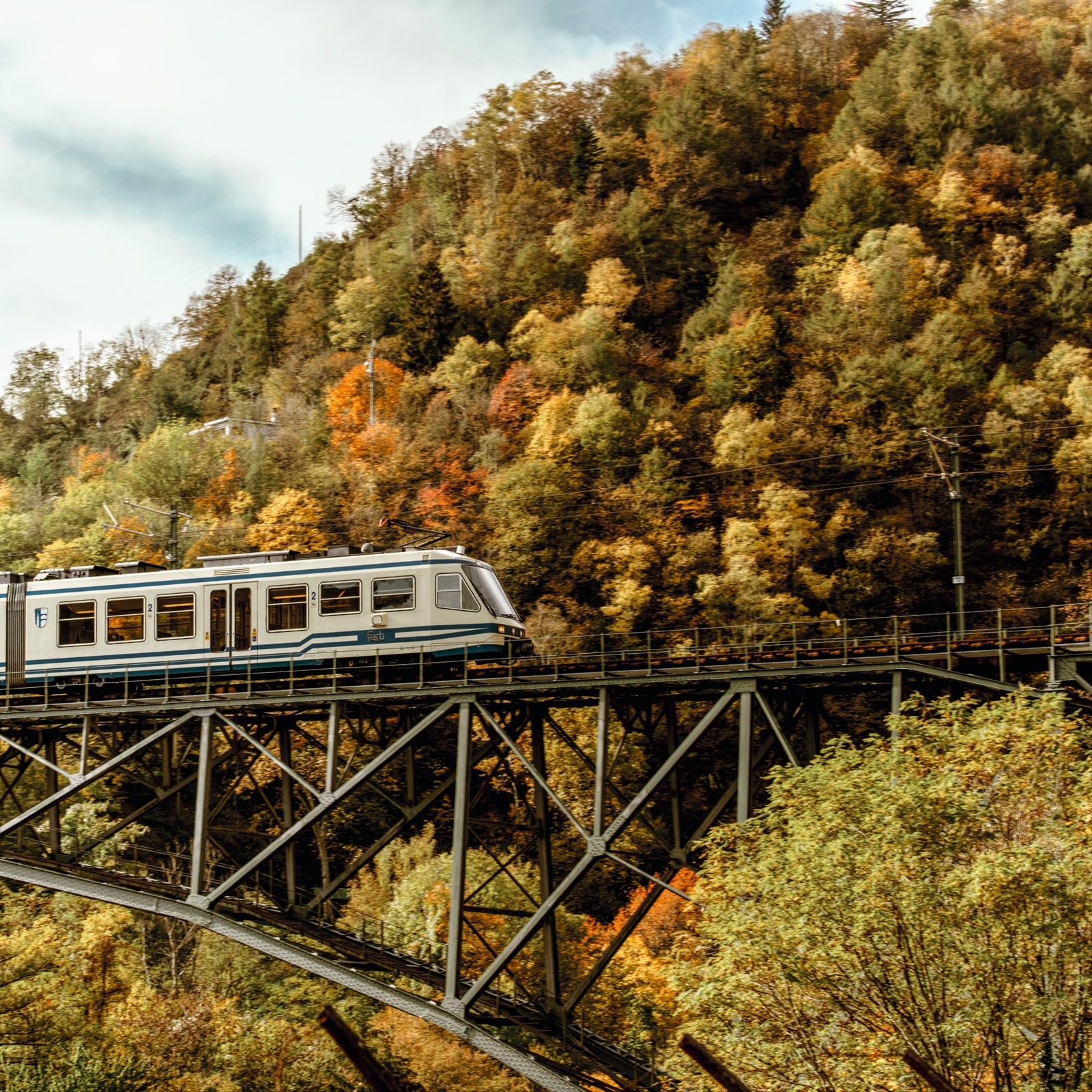 A bordo del Treno del Foliage: quattro ore immersi nell’incanto delle foreste d'autunno. Le date di un'esperienza da non perdere