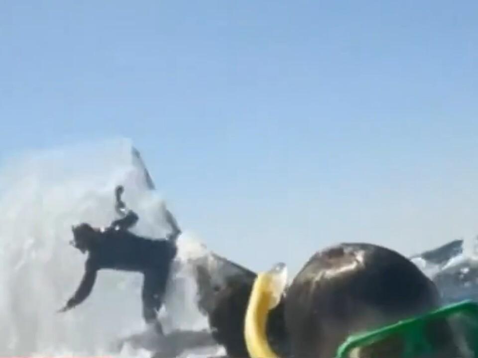 Snorkeller launched into the air by whale