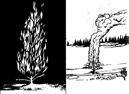 Burning fire with tree leaves illustration. 