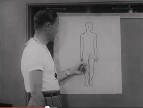 A man giving a T-testosterone primer by pointing to a drawing of a human body.